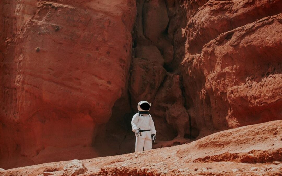 Heinz Proves Tomatoes Can Grow On Mars